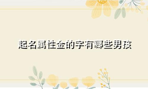起名属性金的字有哪些男孩
