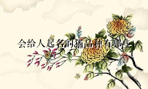会给人起名的猫品种有哪些
