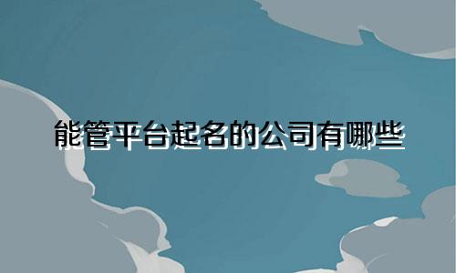 能管平台起名的公司有哪些