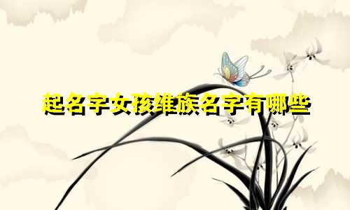 起名字女孩维族名字有哪些