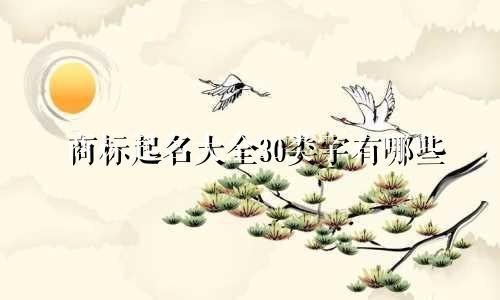 商标起名大全30类字有哪些