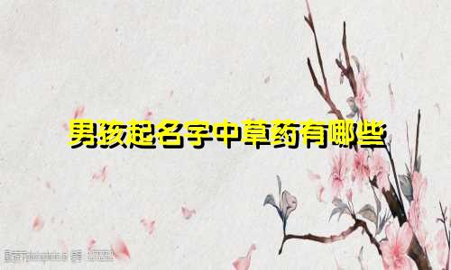 男孩起名字中草药有哪些
