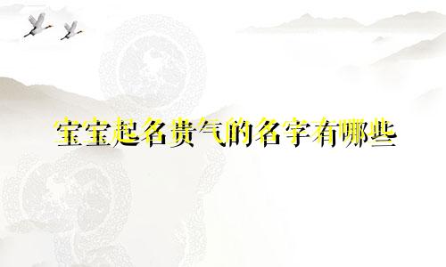 宝宝起名贵气的名字有哪些