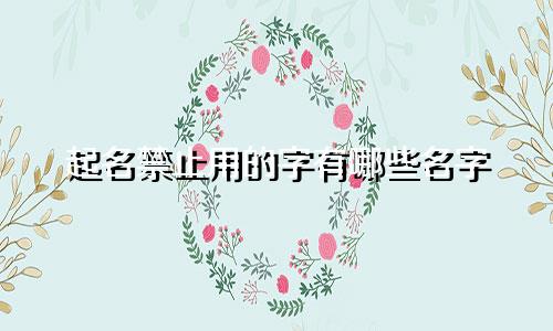 起名禁止用的字有哪些名字