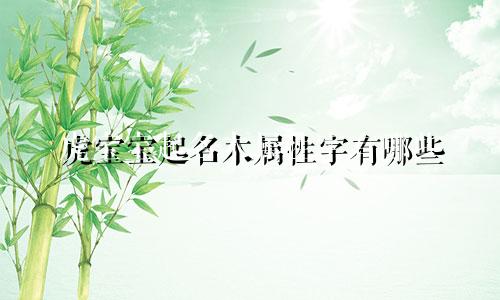 虎宝宝起名木属性字有哪些