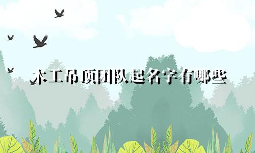 木工吊顶团队起名字有哪些