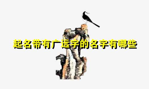 起名带有广远字的名字有哪些