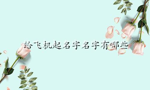 给飞机起名字名字有哪些