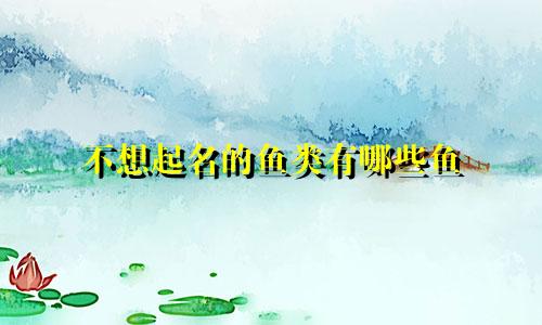 不想起名的鱼类有哪些鱼