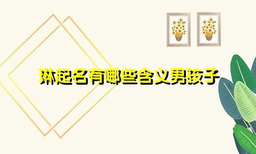 琳起名有哪些含义男孩子