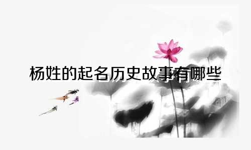 杨姓的起名历史故事有哪些