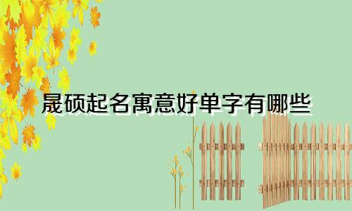 晟硕起名寓意好单字有哪些