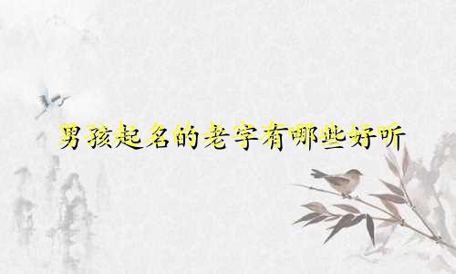 男孩起名的老字有哪些好听