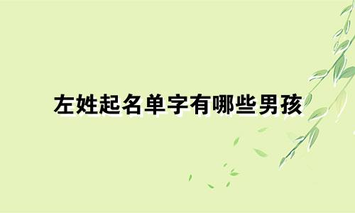 左姓起名单字有哪些男孩
