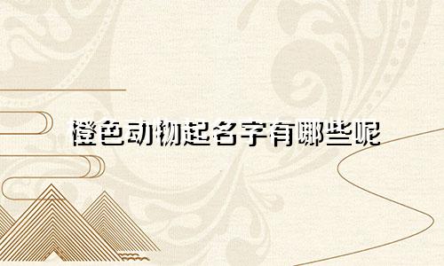 橙色动物起名字有哪些呢