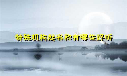 特殊机构起名称有哪些好听