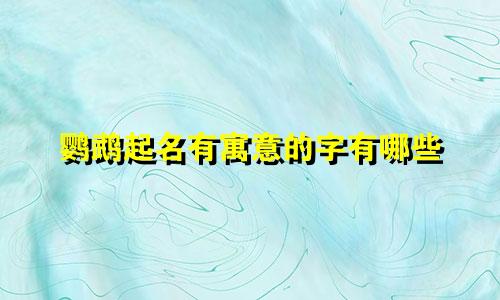 鹦鹉起名有寓意的字有哪些