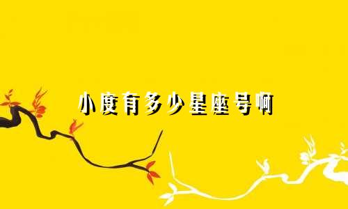 小度有多少星座号啊