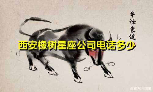 西安橡树星座公司电话多少