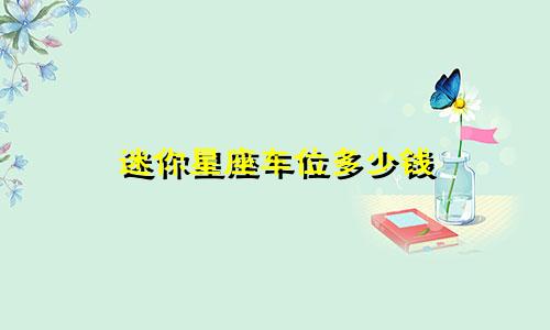 迷你星座车位多少钱