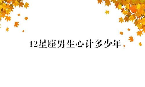 12星座男生心计多少年