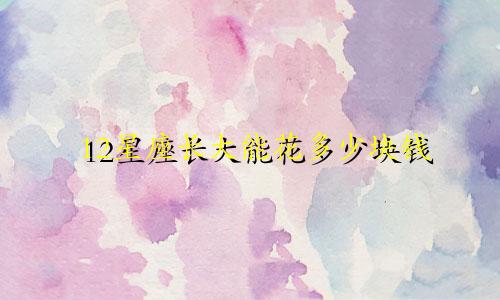 12星座长大能花多少块钱