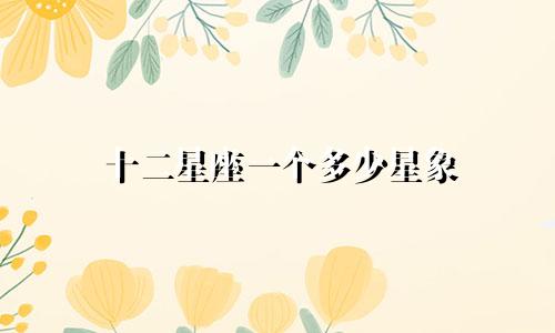 十二星座一个多少星象