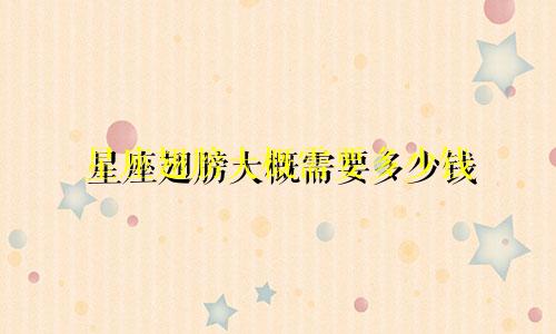 星座翅膀大概需要多少钱
