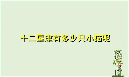 十二星座有多少只小猫呢