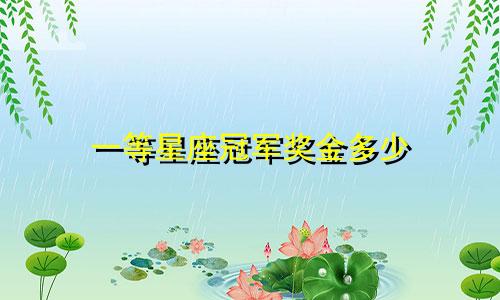 一等星座冠军奖金多少