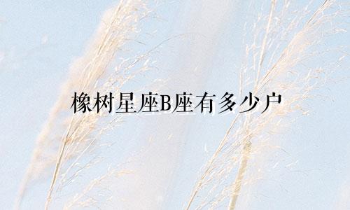 橡树星座B座有多少户