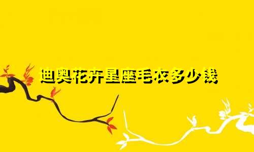 迪奥花卉星座毛衣多少钱