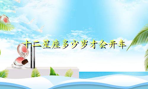 十二星座多少岁才会开车