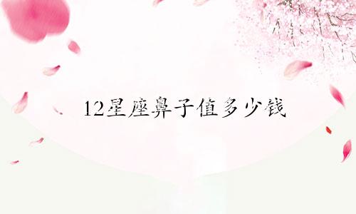 12星座鼻子值多少钱