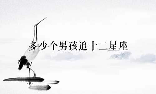 多少个男孩追十二星座
