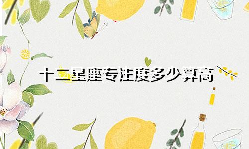 十二星座专注度多少算高