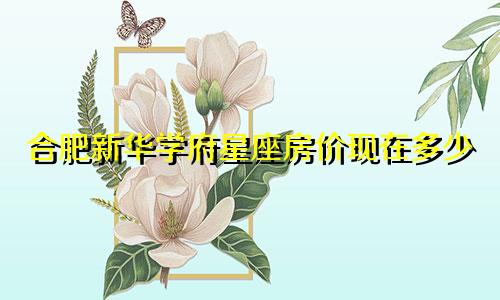 合肥新华学府星座房价现在多少