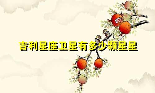 吉利星座卫星有多少颗星星