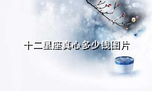 十二星座真心多少钱图片