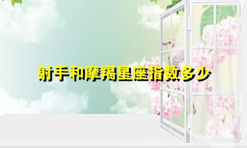 射手和摩羯星座指数多少