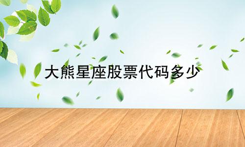 大熊星座股票代码多少