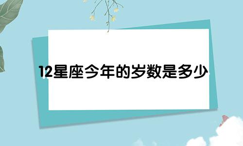 12星座今年的岁数是多少