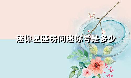 迷你星座房间迷你号是多少
