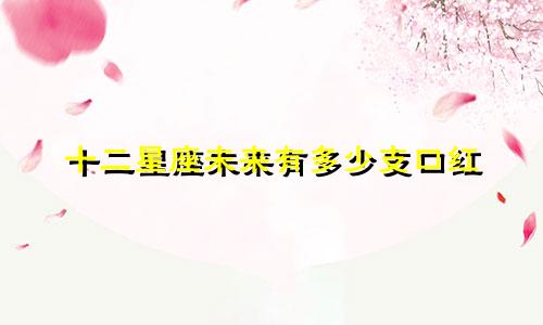 十二星座未来有多少支口红