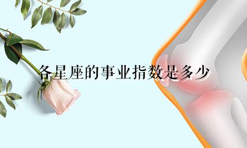 各星座的事业指数是多少