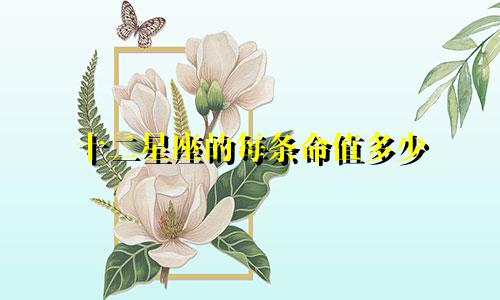 十二星座的每条命值多少