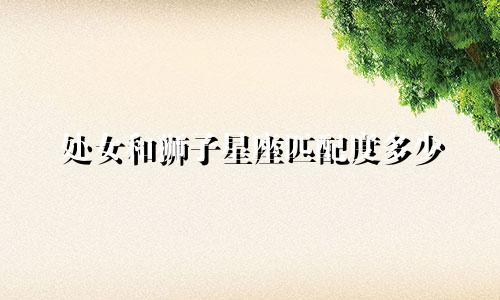处女和狮子星座匹配度多少