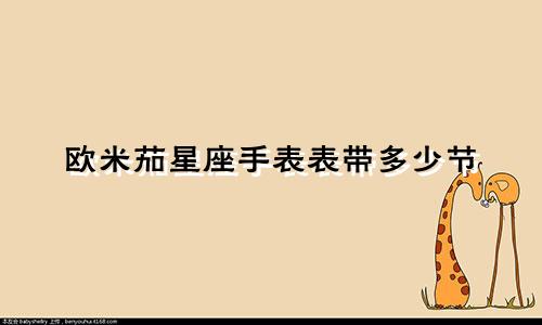 欧米茄星座手表表带多少节