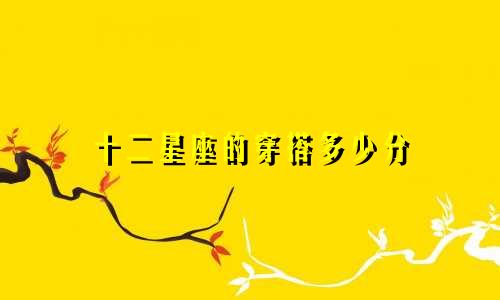 十二星座的穿搭多少分