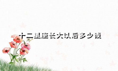 十二星座长大以后多少钱